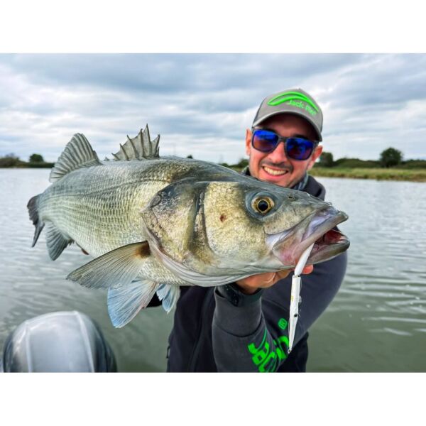 Jack Fin Stylo Jointed 150 Sahte Yem Holo Pearl