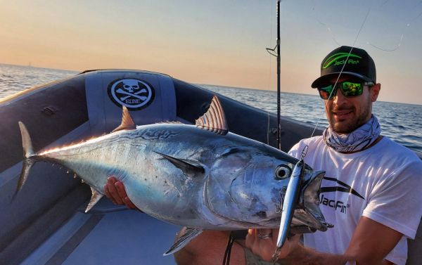 Jack Fin Lara 135-S Sahte Yem Sardine