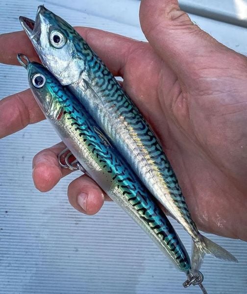 Jack Fin Lara 135-S Sahte Yem Mackerel