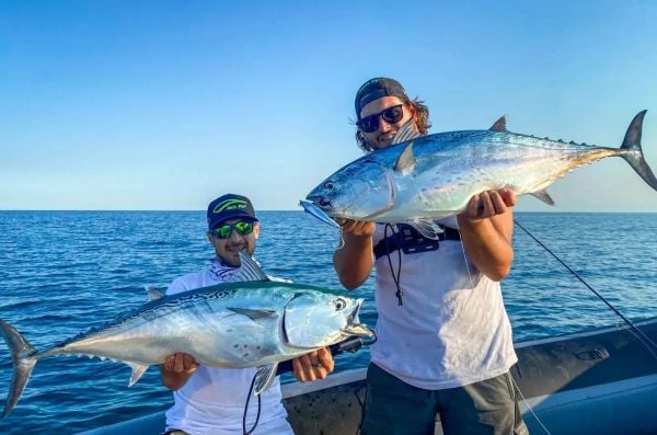 Jack Fin Pelagus 120-S Sahte Yem Acciuga