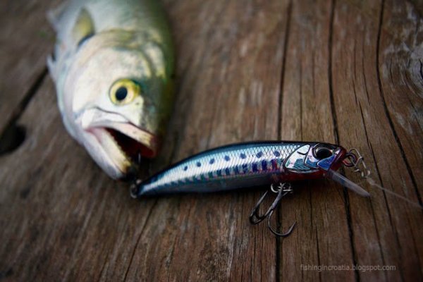 Duo Tide Minnow 75 Sprint ACC0170 / Pearl Chart II