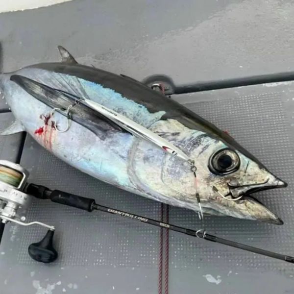 Major Craft Giant Killing New GK5-S64H 193cm 180-300gr Tetiksiz Jigging Kamış