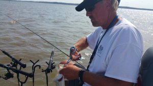 Cuda 18114 7,5'' SS Fishing Forcep