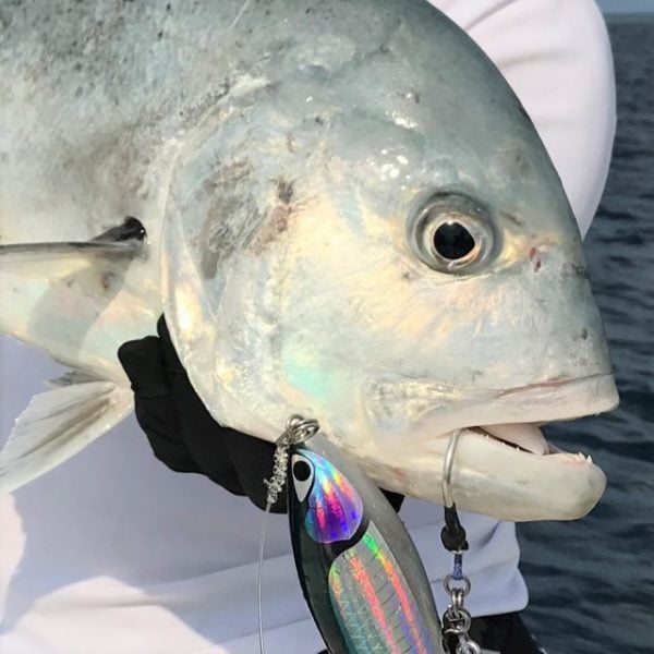 Vanfook BG-86 Asist İğnesi #6/0 2 Adet