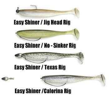 Keitech Easy Shiner 20cm-8'' #482 Ghost Rainbow