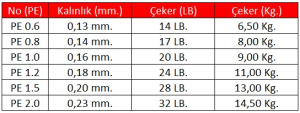 Linesystem Seabass Day Game X8 PE 1.0  0,16mm.  20Lb.  9,0kg. 300mt.