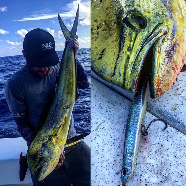 Duo Rough Trail Malice 130 AHA0109 / Mackerel HD