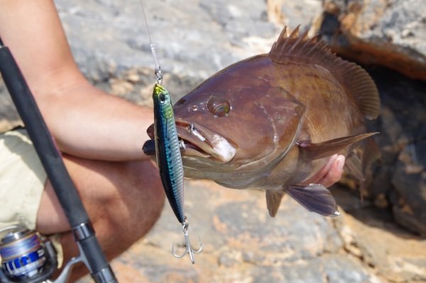 Duo Rough Trail Malice 130 AHA0109 / Mackerel HD