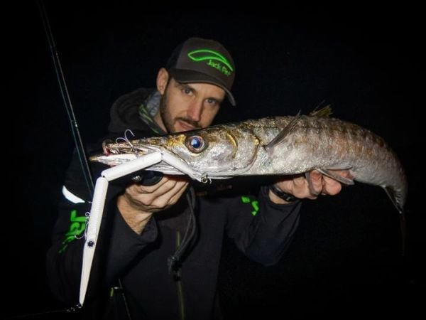 Jack Fin Stylo Jointed 255 Sahte Yem White Glow Belly