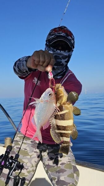 SAME Tai Rubber Sliding Kafa 150gr. #3 Green Gold