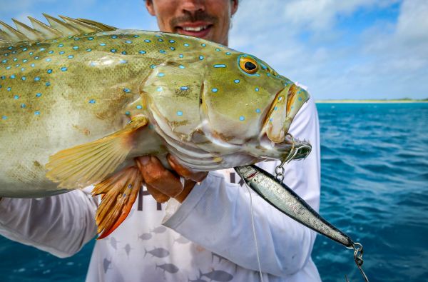Jack Fin Pelagus 140-S Sahte Yem Acciuga