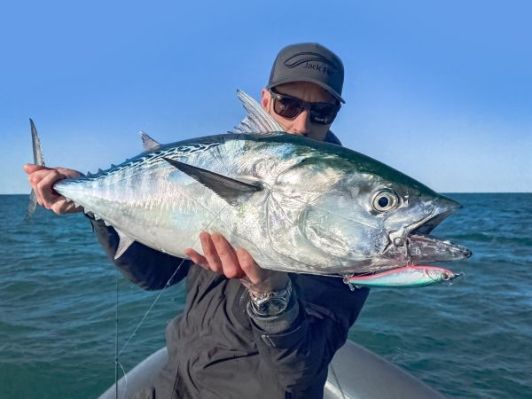 Jack Fin Pelagus 140-S Sahte Yem White Pink Belly