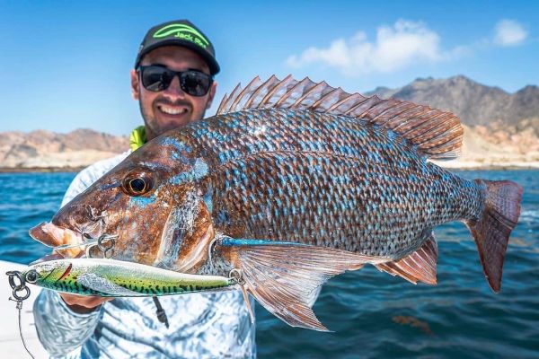 Jack Fin Pelagus 165-S Sahte Yem Sardine Tuna