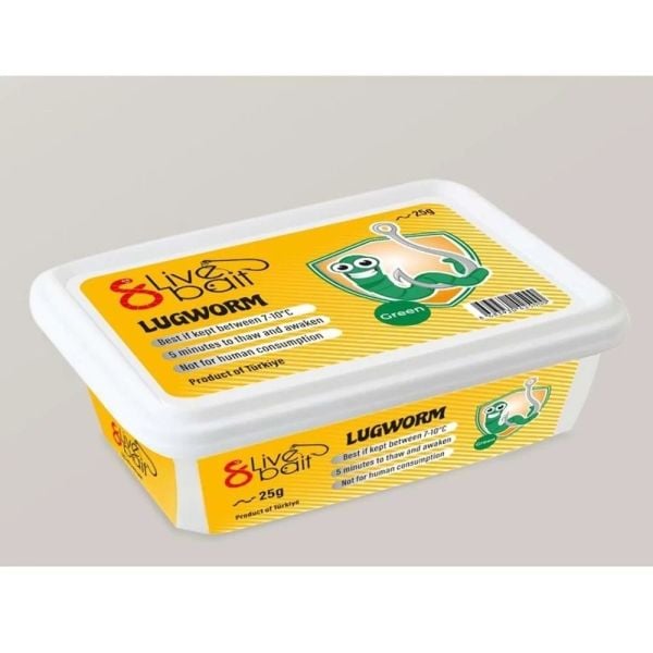 Canlı Çin Kurdu ''Lugworm''