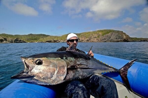 Höwk Bullfighter 250, 226cm 90-220gr. Offshore Casting Kamış