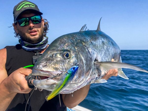 Jack Fin Pelagus 165-S Sahte Yem Bloody Sardine ''Özel Renk''