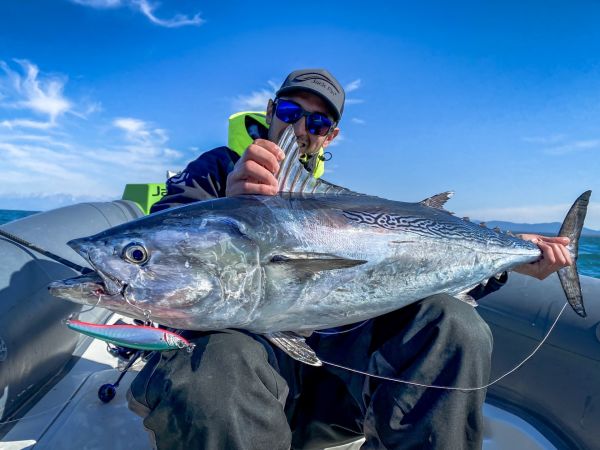Jack Fin Pelagus 165-S Sahte Yem Aji