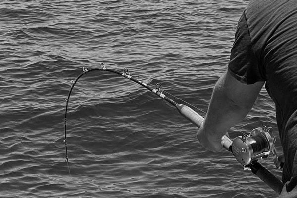 Höwk Venice 12-20LB Spiral Big Game Kamış
