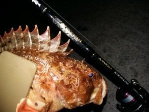 Crazee AjiMeba S722 UL/SL LRF Kamış 2.18mt 1-8 gr