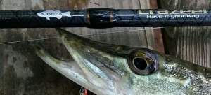 Crazee AjiMeba S722 UL/SL LRF Kamış 2.18mt 1-8 gr