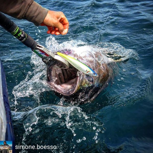 Jack Fin Pelagus 165-F Sahte Yem Garfish