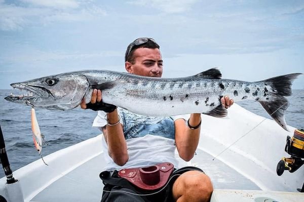 Jack Fin Pelagus 165-F Sahte Yem Blue Mackerel