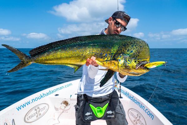 Jack Fin Argo 180-F Sahte Yem Flying Fish ''Özel Renk''