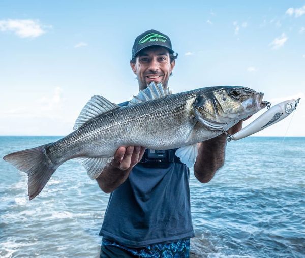 Jack Fin Argo 180-F Sahte Yem Dorado ''Özel Renk''