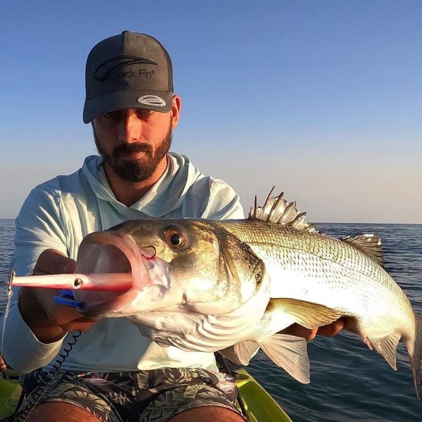 Jack Fin Stylo 240 Sahte Yem Kuda Killer