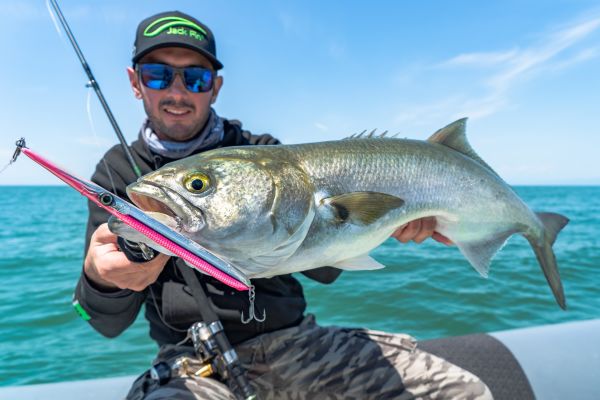 Jack Fin Stylo 240 Sahte Yem Yellow Fluo