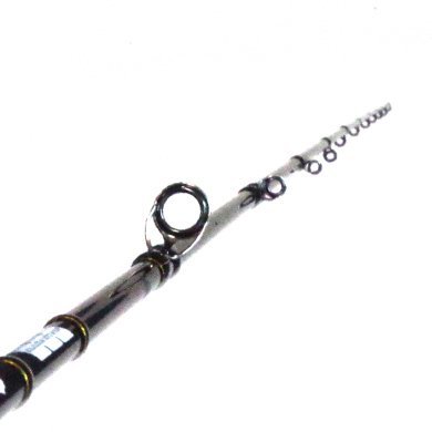 Tailwalk Saltyshape Dash Tai Rubber Full Solid Spiral C69ML/FSL 2,06mt. / Max. 180gr.