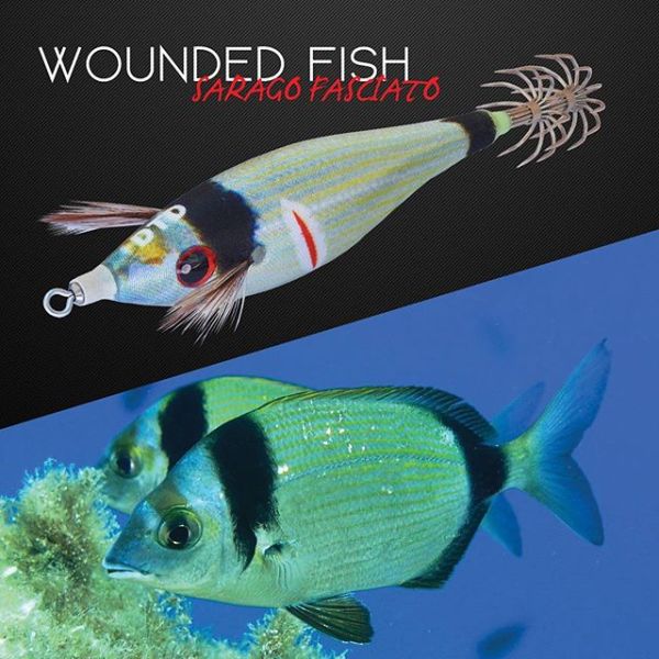 DTD Wounded Fish Bukva 2.5 Dentex (Glow)