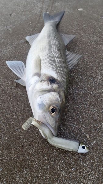 Fiiish BM140/4 BM3120 Combo Deep 60gr. Fluo Pink Silikon