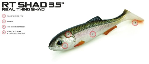 Molix RT Shad 9cm/3.5'' Silikon Yem, #148 UV Clearchart Multicolor