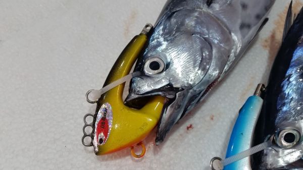 Pro Hunter Bonito Dead Bait Jig Head No:03 250gr.