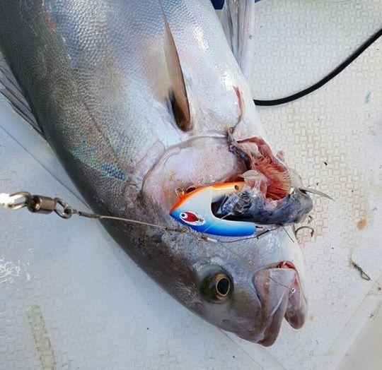 Pro Hunter Bonito Dead Bait Jig Head No:03 250gr.