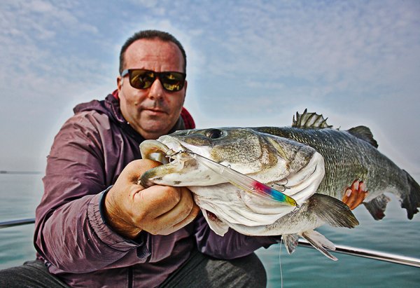 Molix Jugulo Jerk 180LC 18 cm. Sahte Balık, #93 MX Holo Shad