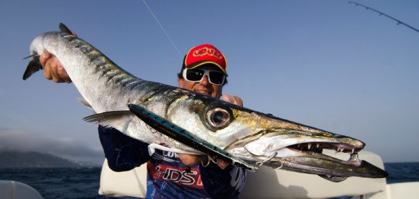 Molix Jugulo Jerk 140LC 14 cm. Sahte Balık, #200 MX Wahoo